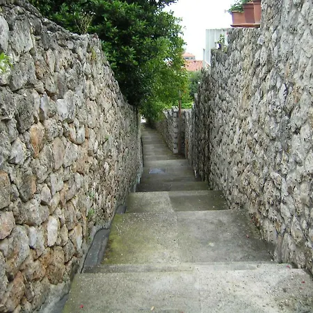 Palma *