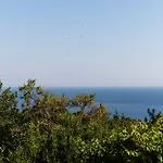 Palma
